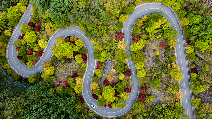 A winding road with colorful trees