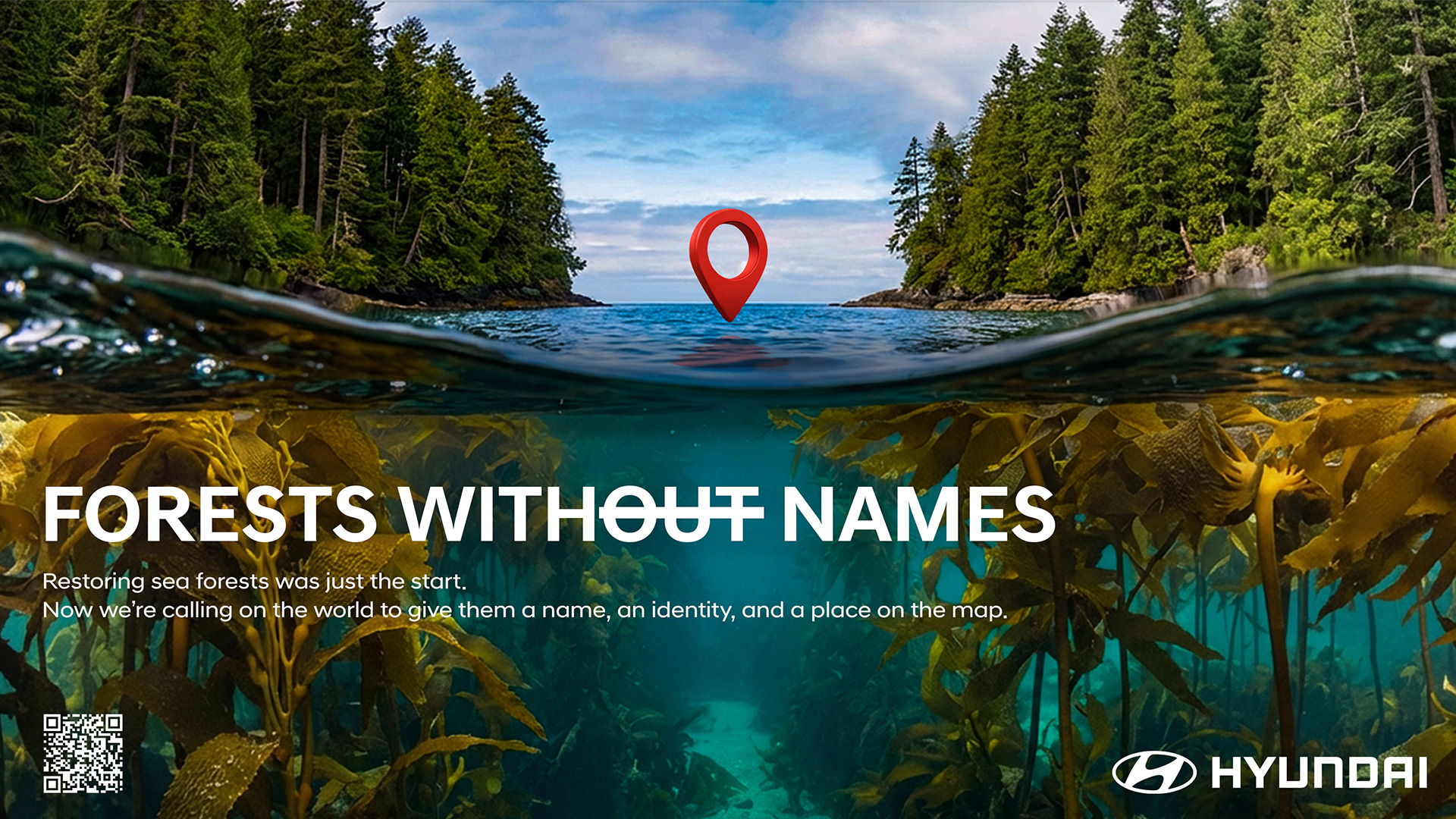 Forests Without Names: Hyundai Motor Brings the World’s Hid-den Sea Forests Into the Light