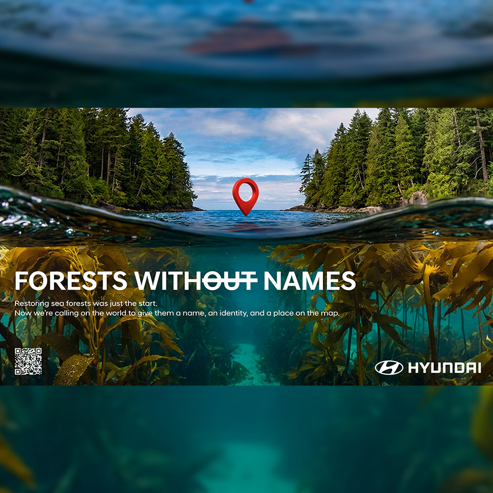 Forests Without Names: Hyundai Motor Brings the World's Hid-den Sea Forests Into the Light