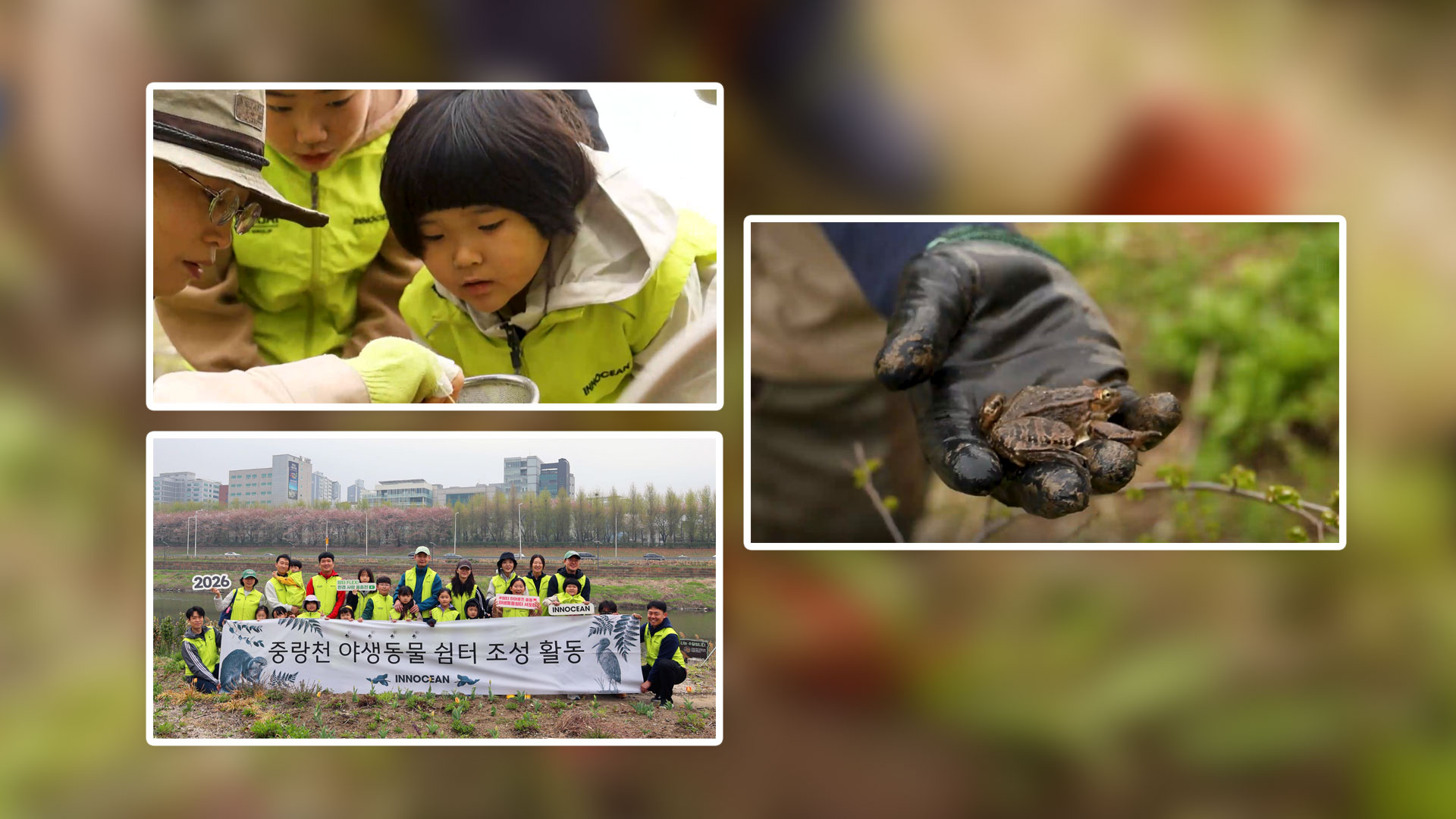 이노션, ‘야생동물쉼터’ 조성 봉사