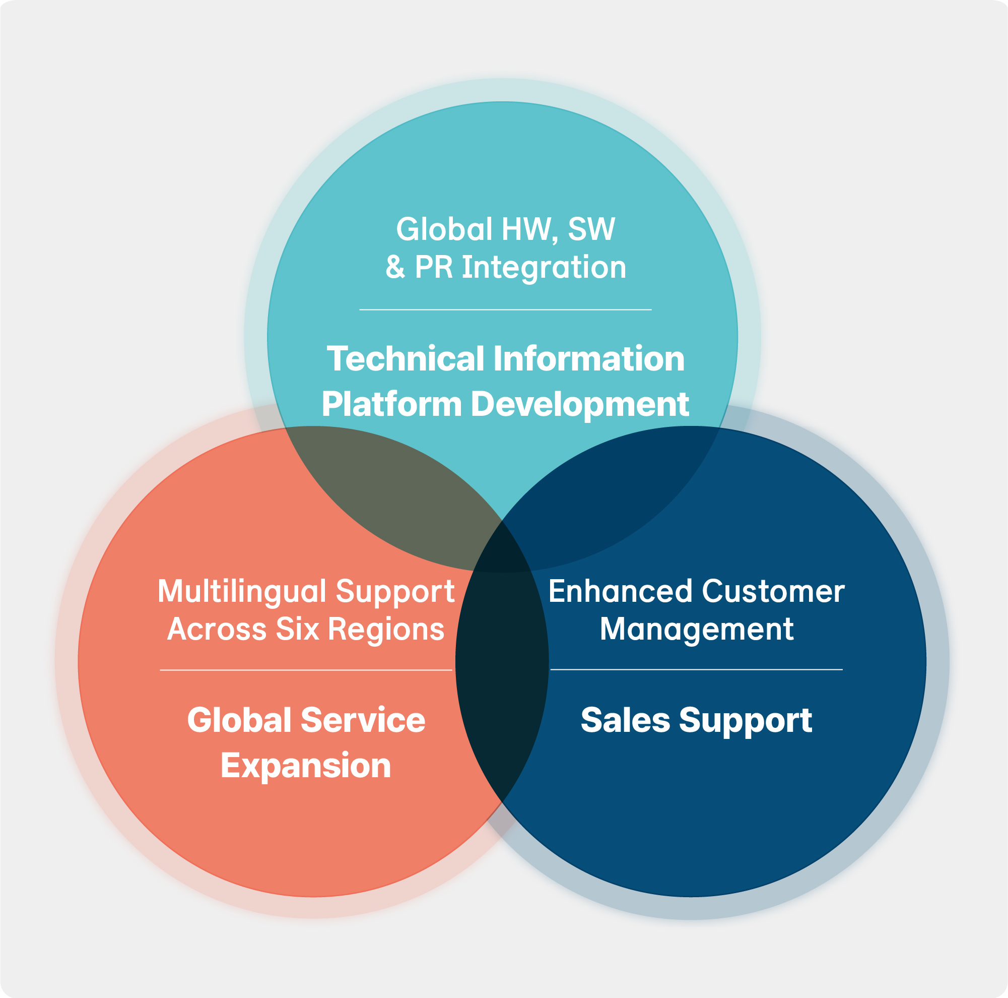 Global Strategy for Hyundai Conversion+ :  Global HW, SW & PR Integration - Technical Information Platform Development, Multilingual Support Across Six Regions - Global Service Expansion, Enhanced Customer Management - Sales Support