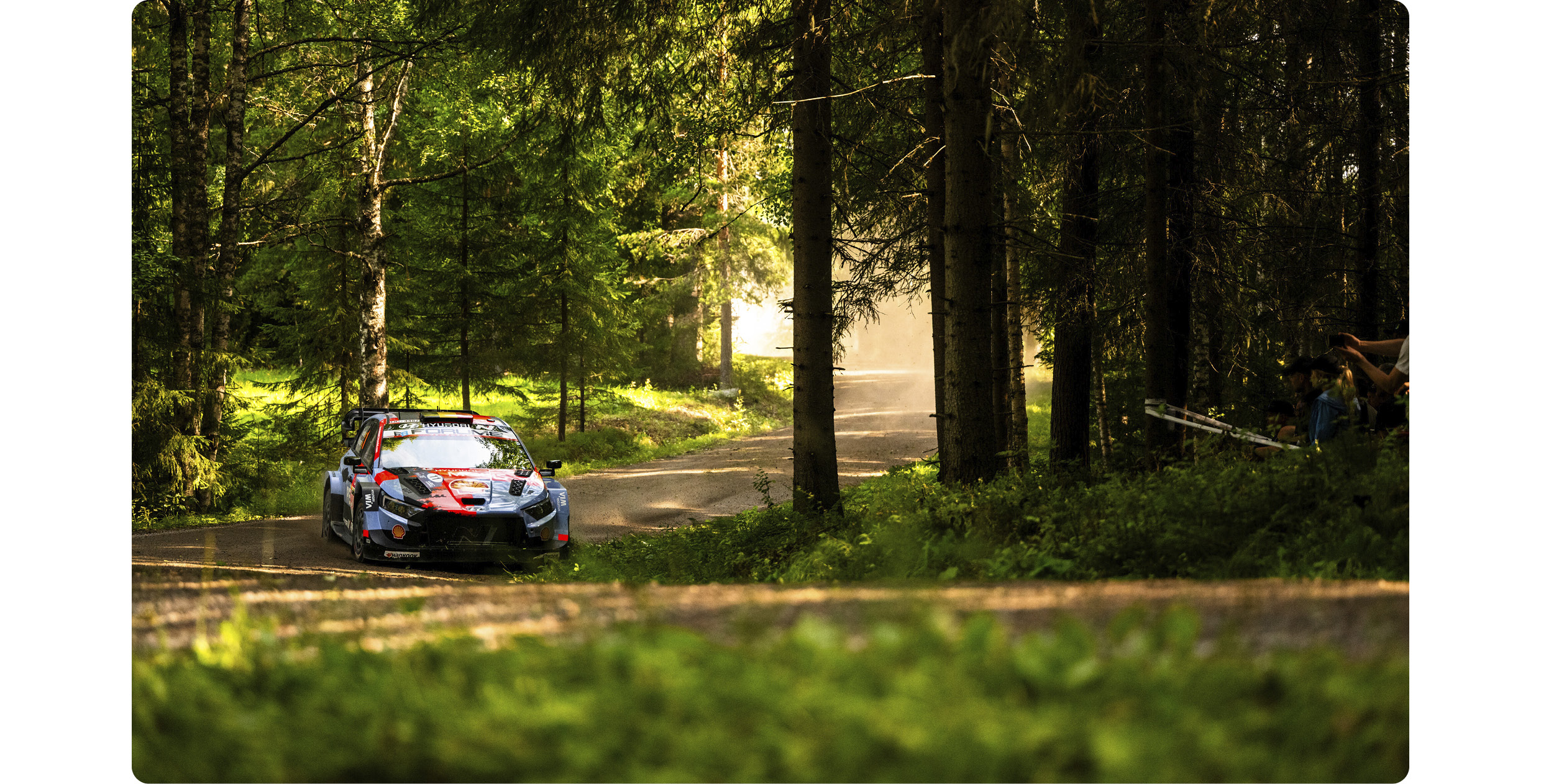 i20 N Rally 1