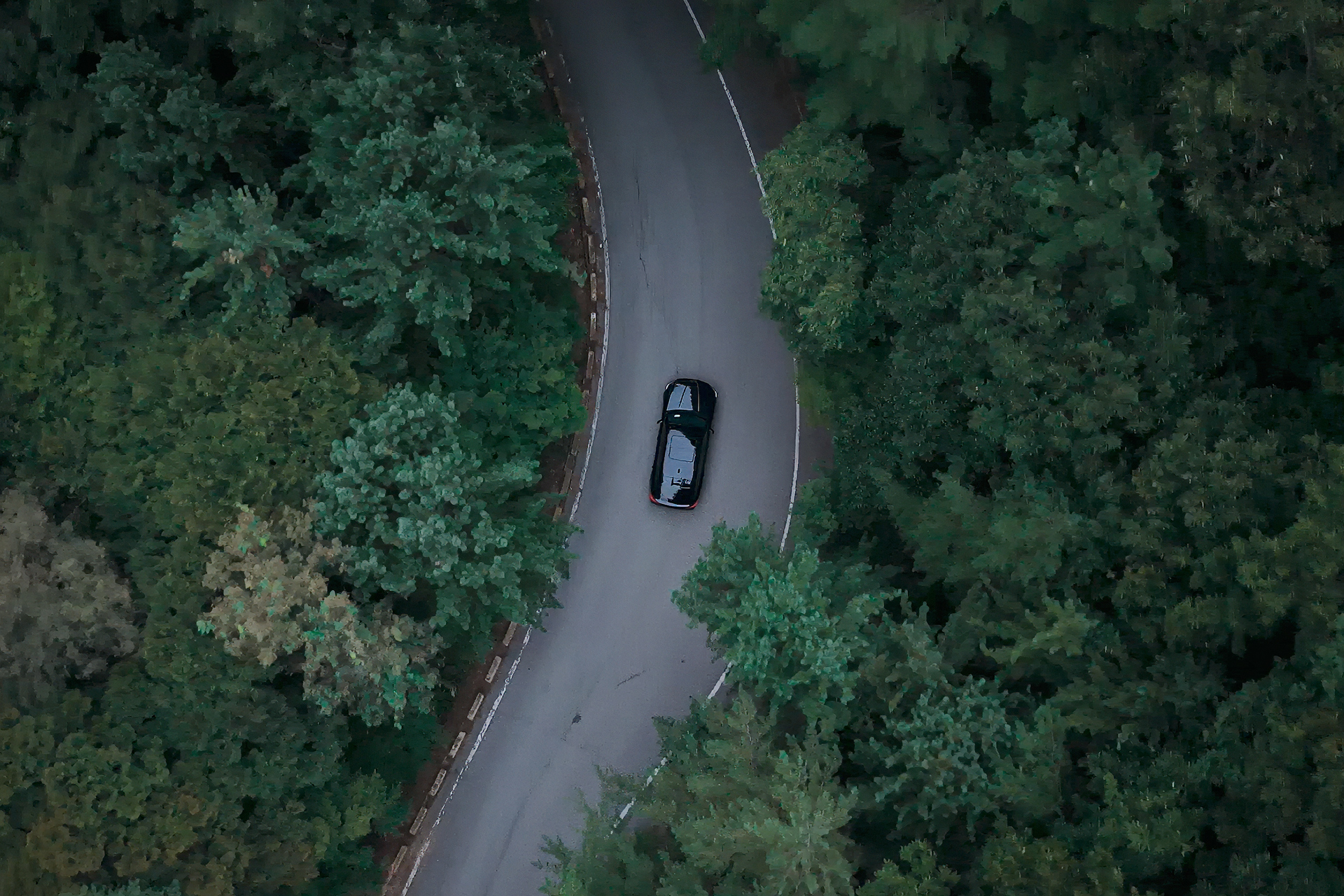 Aerial view of a forest path